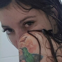 dreamnc Meztelen