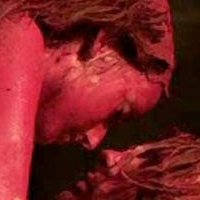 Gaite Jansen Meztelen